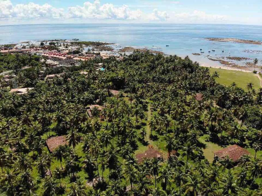 Casinha Jardim Das Palmeiras Morro de São Paulo Exteriér fotografie